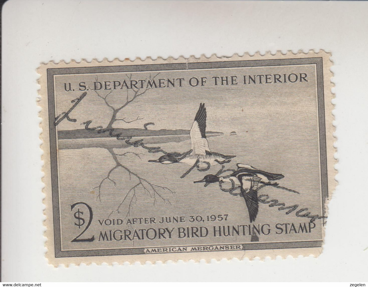 Verenigde Staten Scott Cataloog Duck Stamp RW23 Hoek Rechtsonder Kort - Duck Stamps