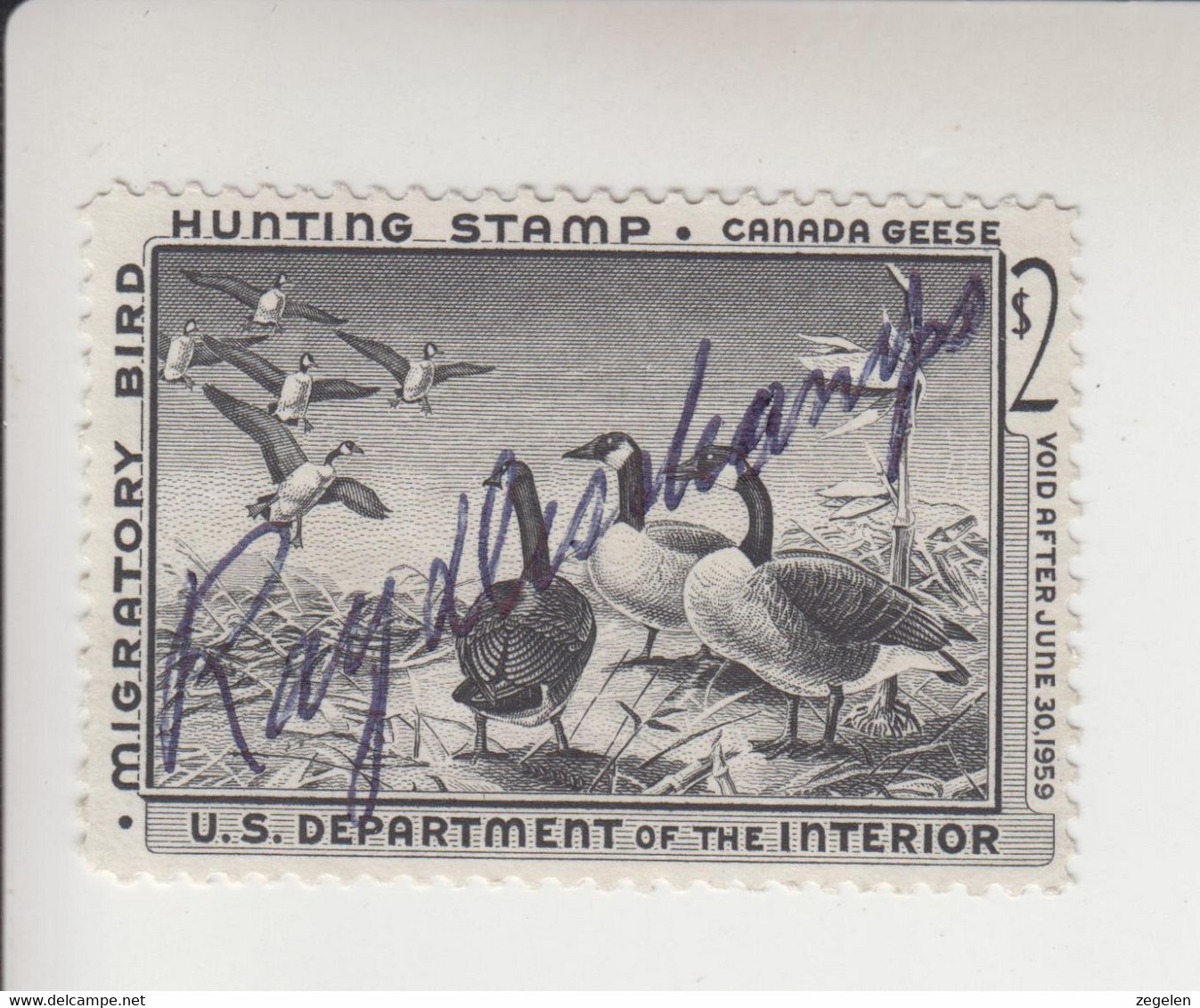 Verenigde Staten Scott Cataloog Duck Stamp RW25 - Duck Stamps