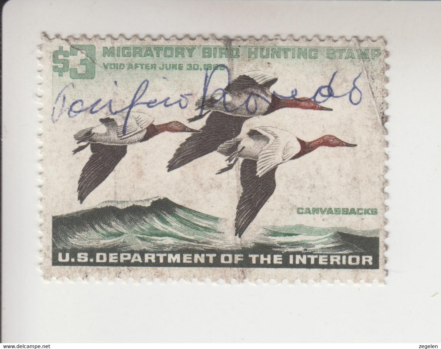 Verenigde Staten Scott Cataloog Duck Stamp RW32 - Duck Stamps