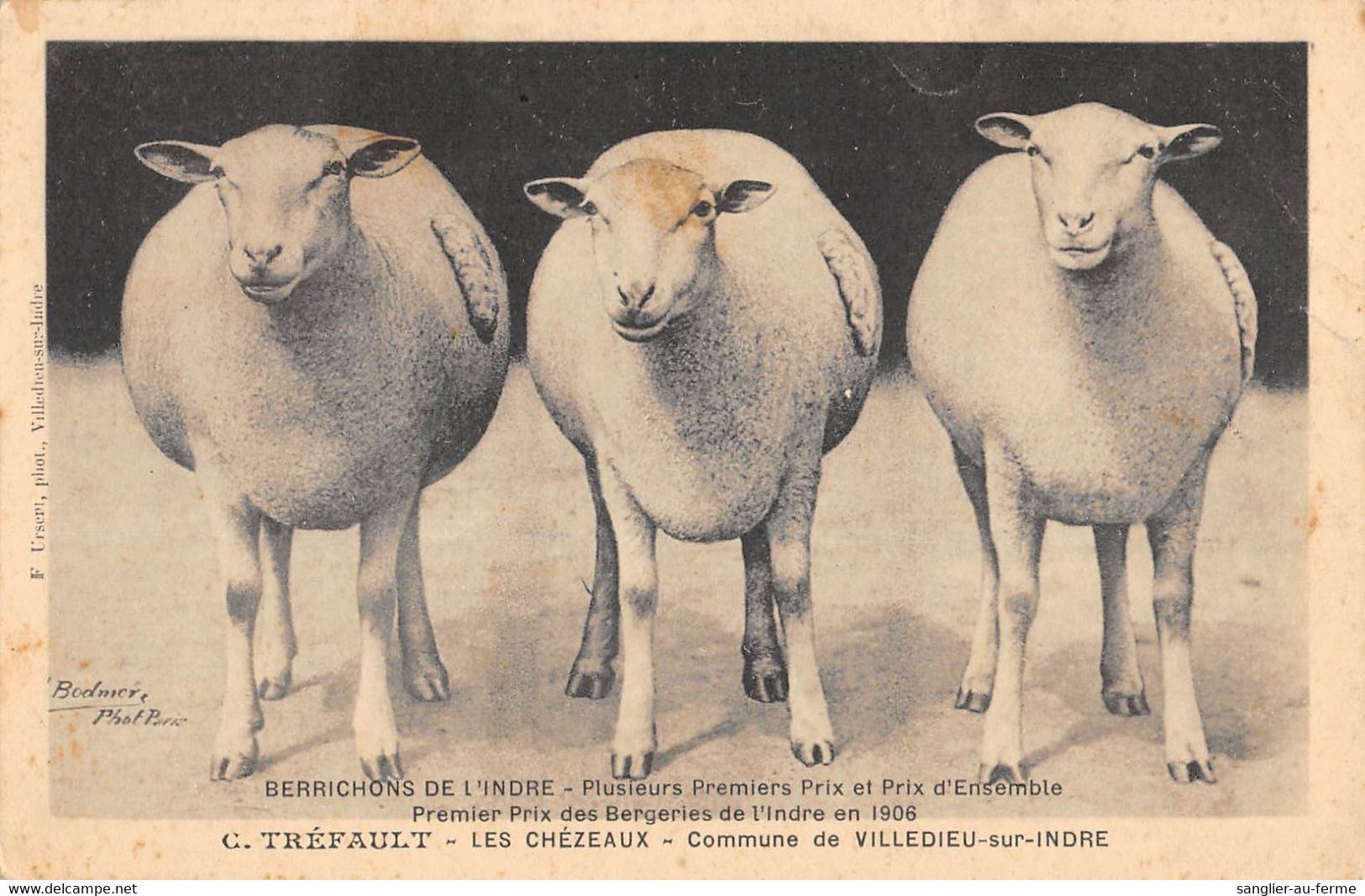 CPA 36 COMMUNE DE VILLEDIEU SUR INDRE LES CHEZEAUX C.TREFAULT 1ER PRIX DES BERGERIES DE L'INDRE (cpa Rare - Other & Unclassified