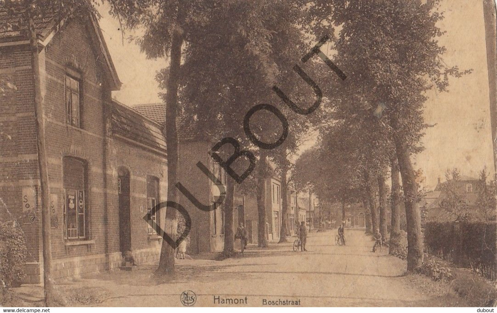 Postkaart/Carte Postale - HAMONT - Boschstraat  (C1962) - Hamont-Achel