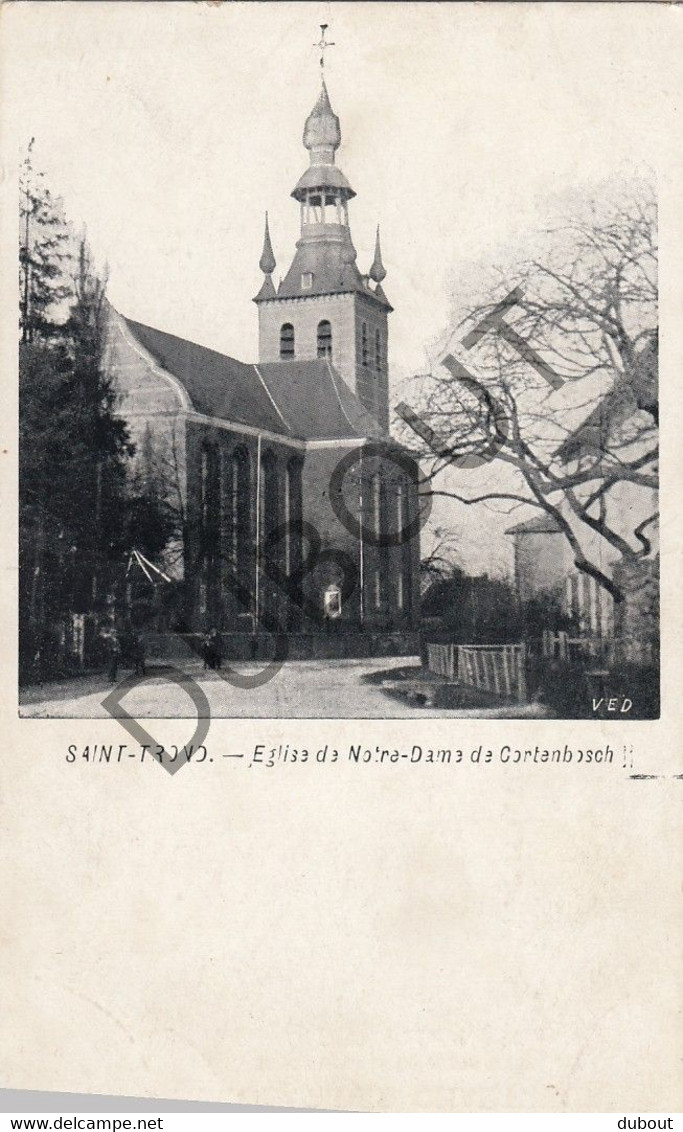 Postkaart/Carte Postale - SINT-TRUIDEN - Eglise De Notre Dame De Cortenbosch (C1917) - Sint-Truiden