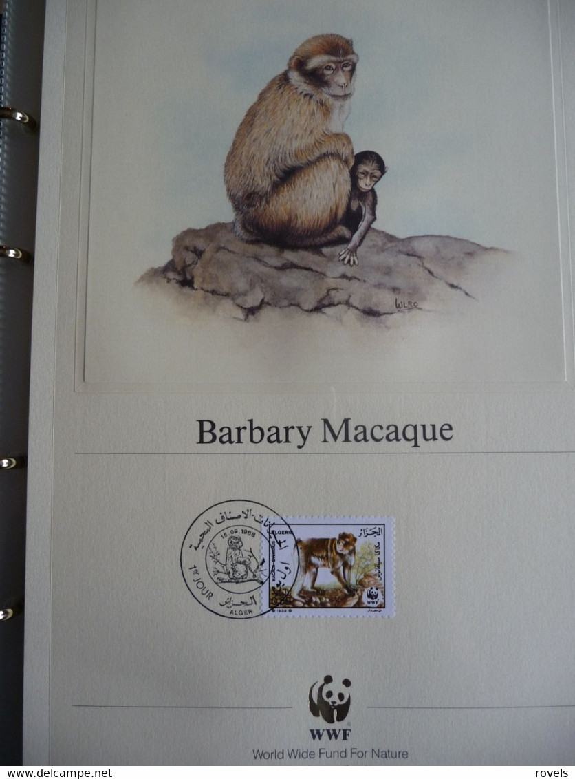 (WWF) ALGERIE - 1988 WWF * BARBARY MACAQUE *  Official Proof Edition Set - Lots & Serien