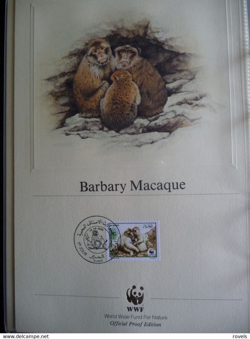 (WWF) ALGERIE - 1988 WWF * BARBARY MACAQUE *  Official Proof Edition Set - Collections, Lots & Séries