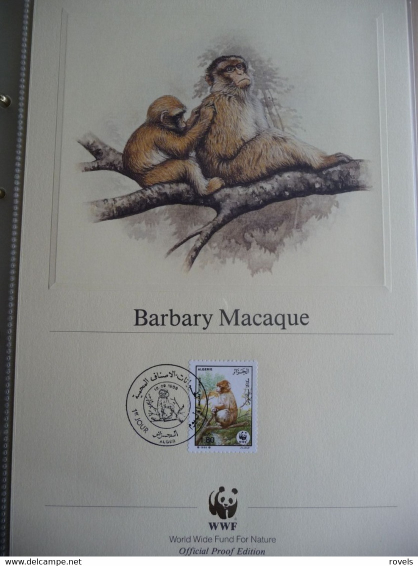 (WWF) ALGERIE - 1988 WWF * BARBARY MACAQUE *  Official Proof Edition Set - Collections, Lots & Series