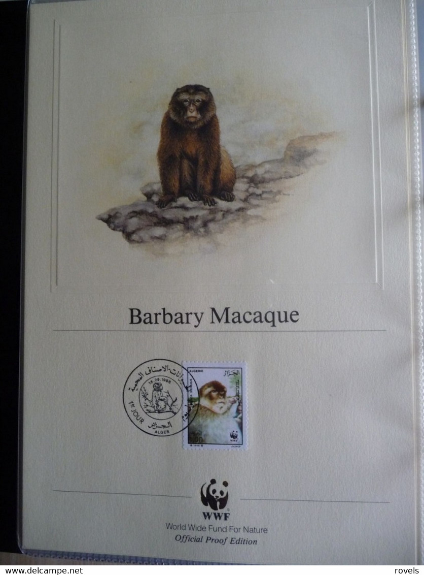 (WWF) ALGERIE - 1988 WWF * BARBARY MACAQUE *  Official Proof Edition Set - Collezioni & Lotti