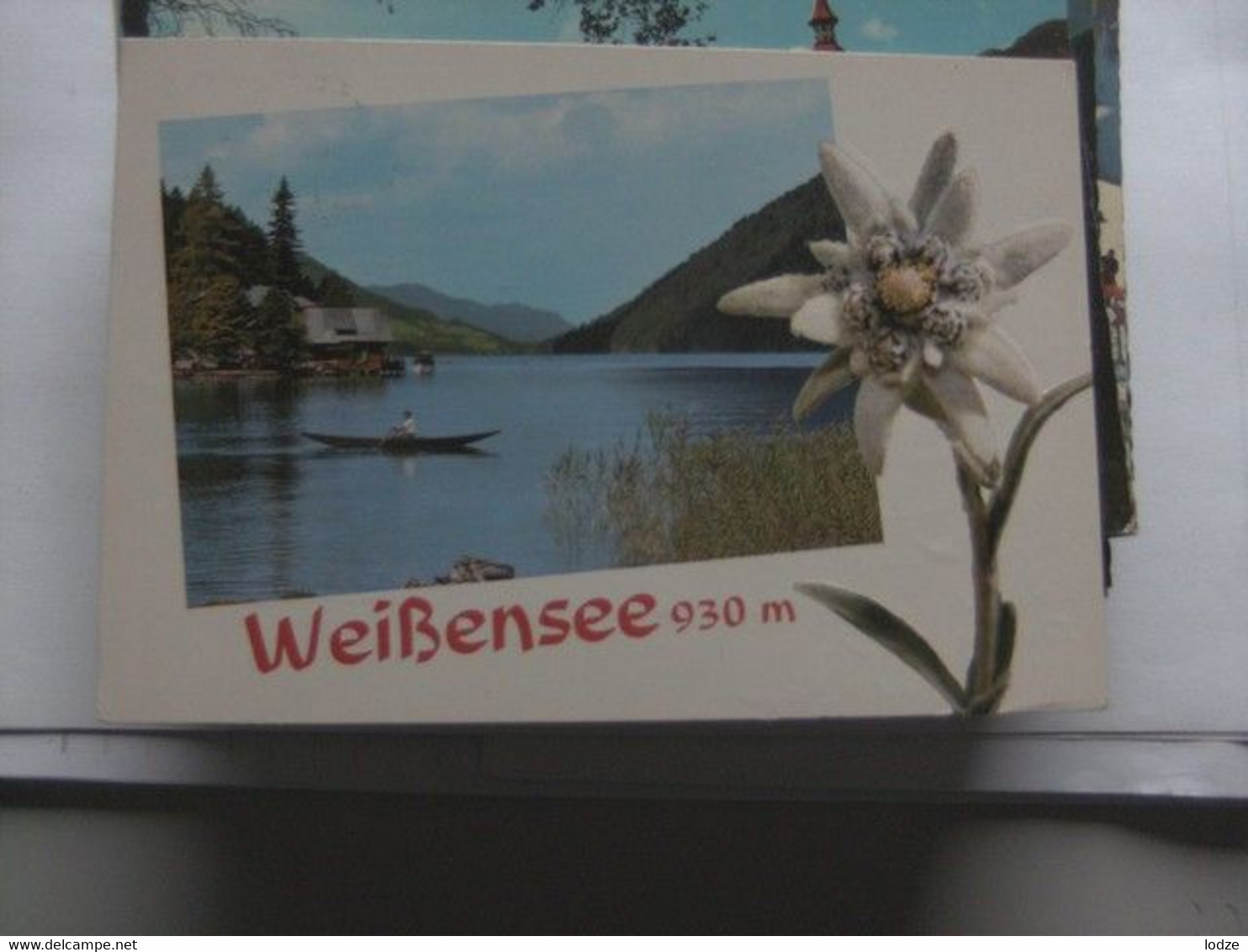 Oostenrijk Österreich Kärnten Weissensee Mit Edelweiss - Weissensee