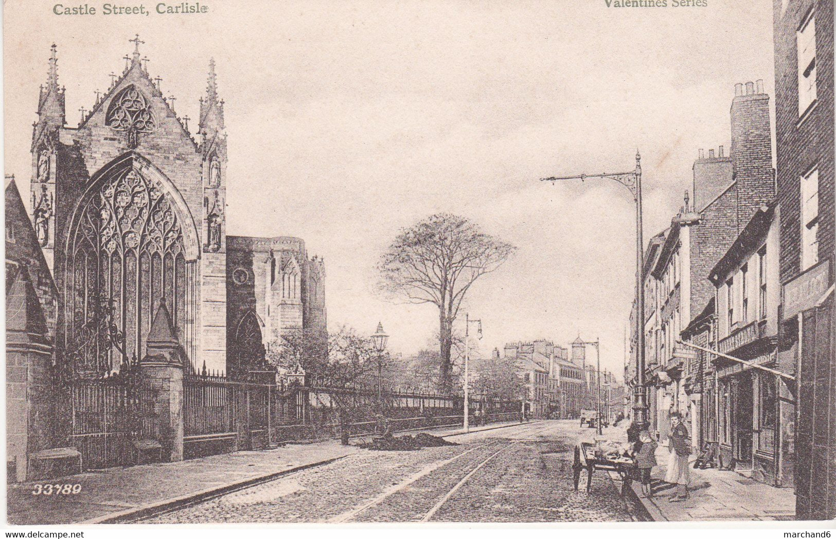 Castle Street , Carlisle édition Valentine N°33789 - Carlisle