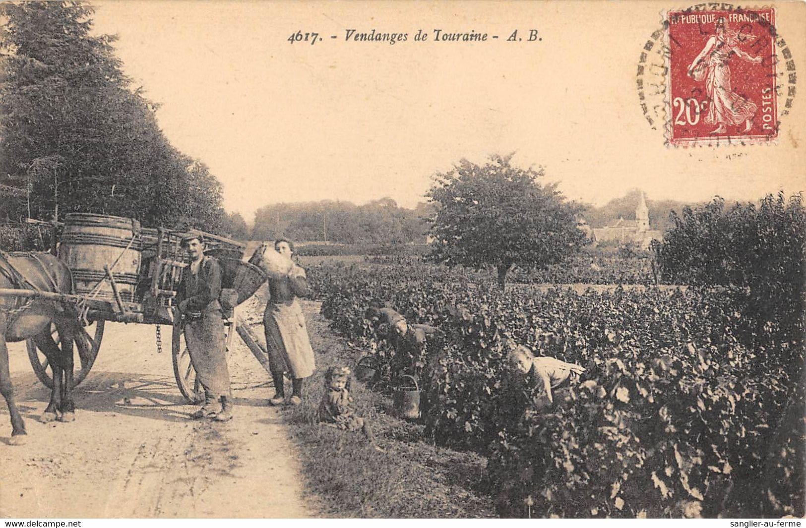 CPA 37 VENDANGES DE TOURAINE - Altri & Non Classificati