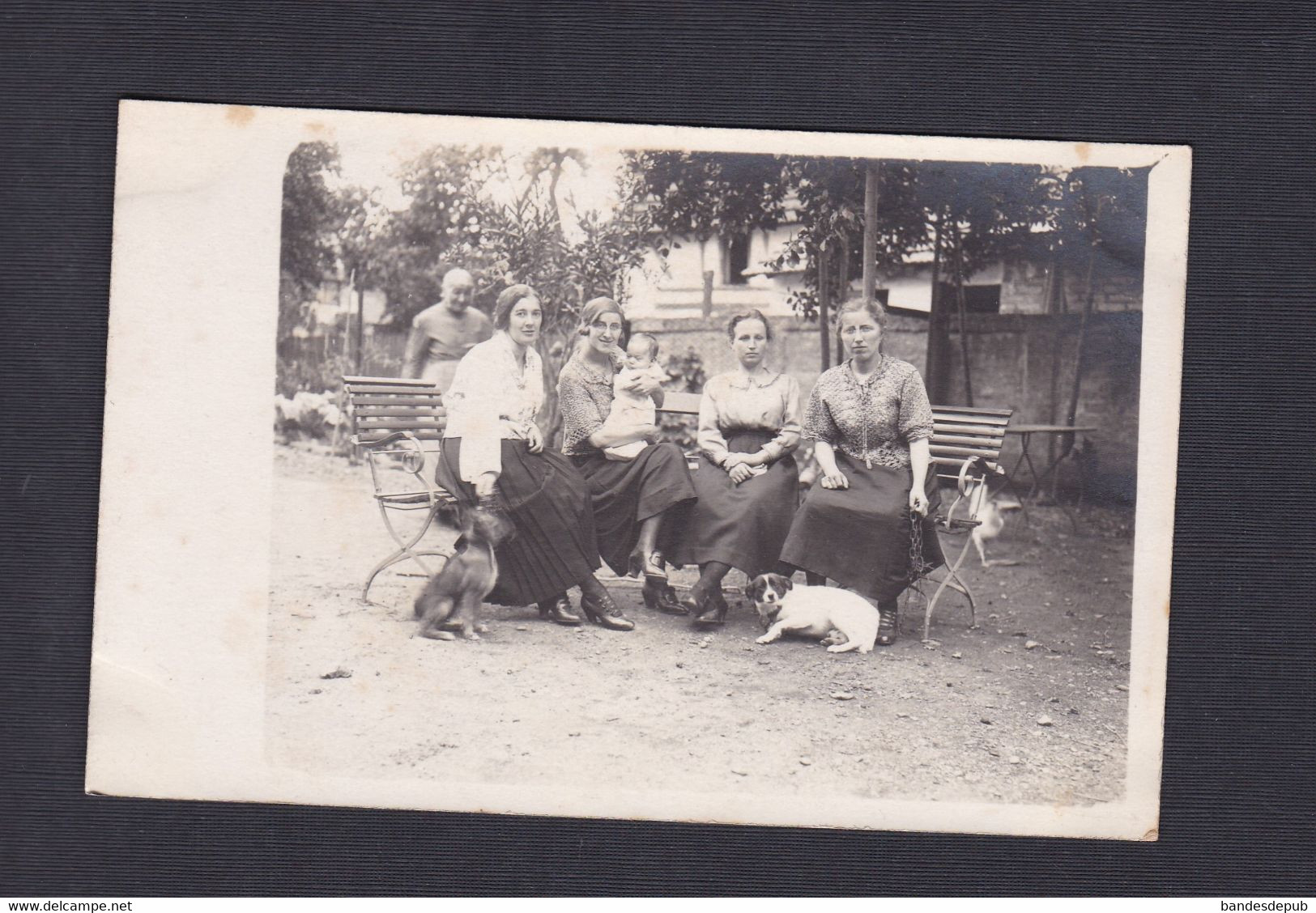 Carte Photo Arch. Famille Kapps La Wantzenau (67) Portrait Groupe Femmes Bébé Chiens ( 51102) - Sonstige & Ohne Zuordnung