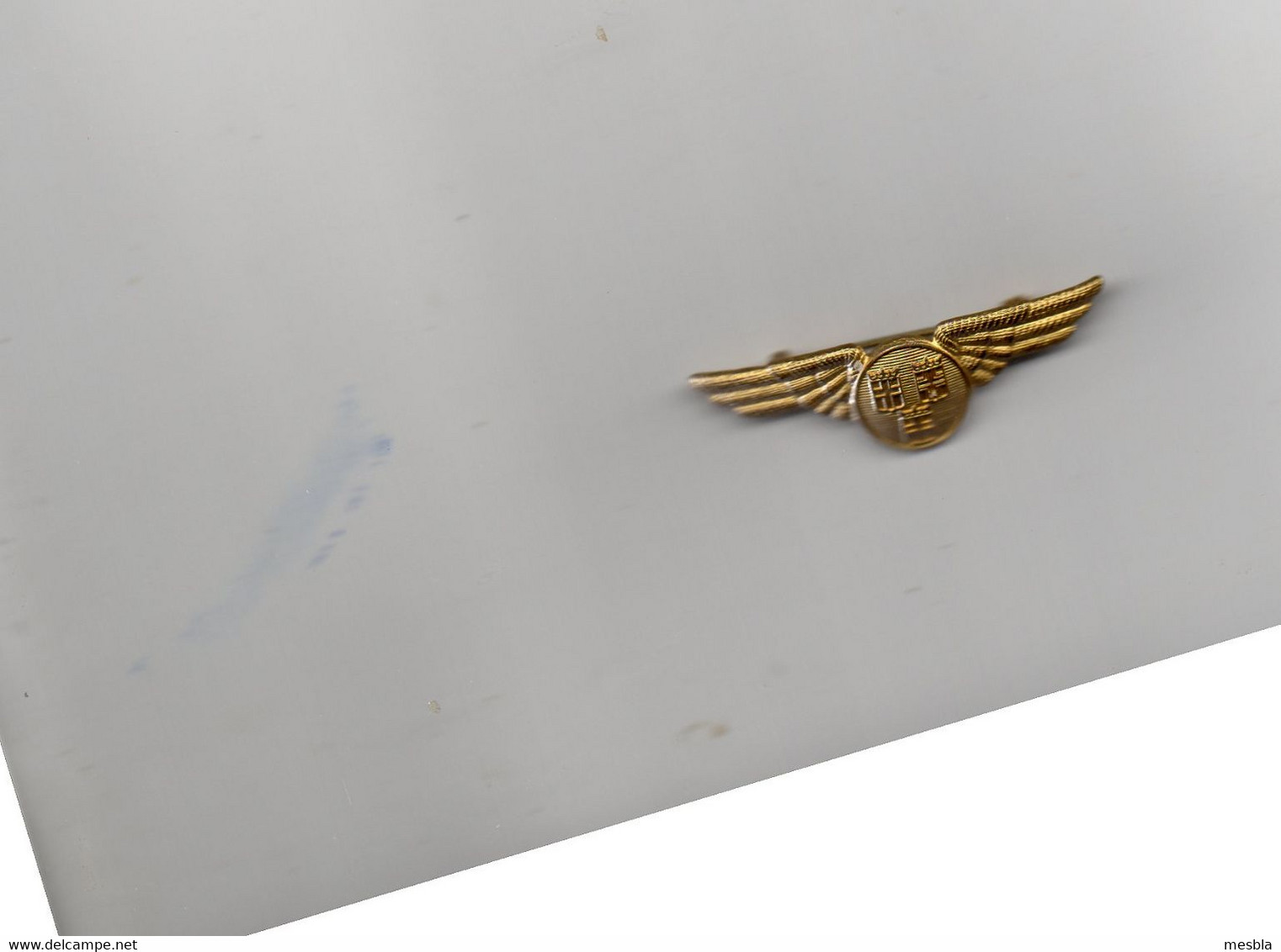 Badge broche PIN Wings Crew compagnie Air France équipage Concorde reformée 