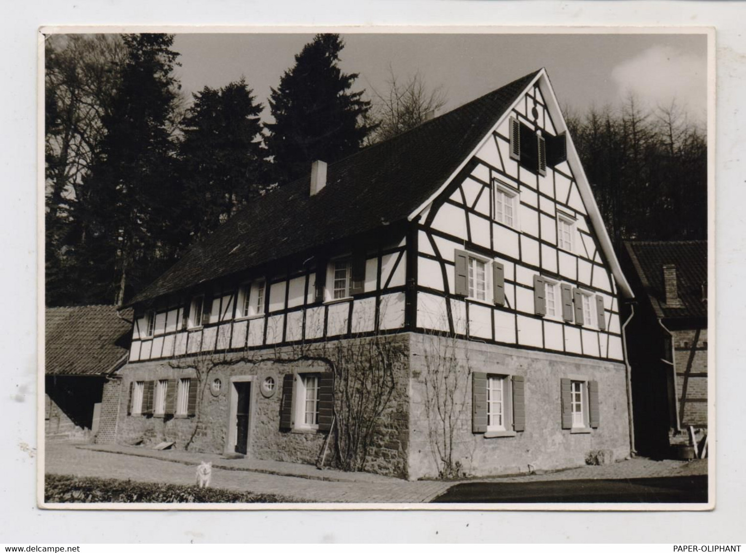 5093 BURSCHEID, Lambertsmühle, Photo Im AK-Grösse - Leverkusen