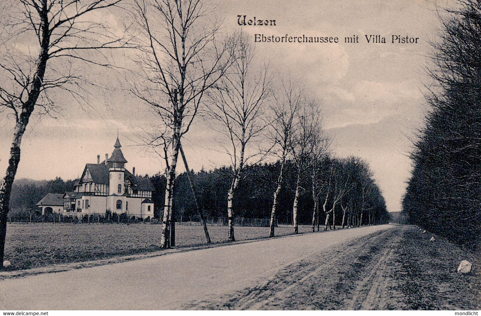 Uelzen. Ebstorferchaussee Mit Villa Pistor. 1917. - Uelzen