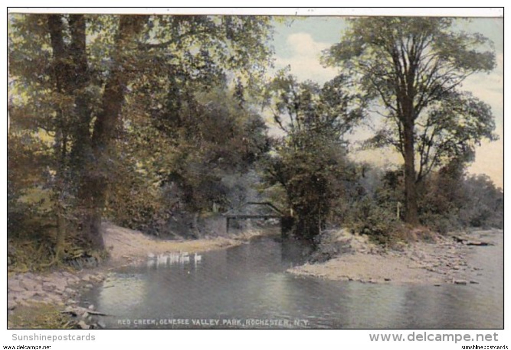 New York Rochester Red Creek In Genesee Valley Park 1911 - Rochester