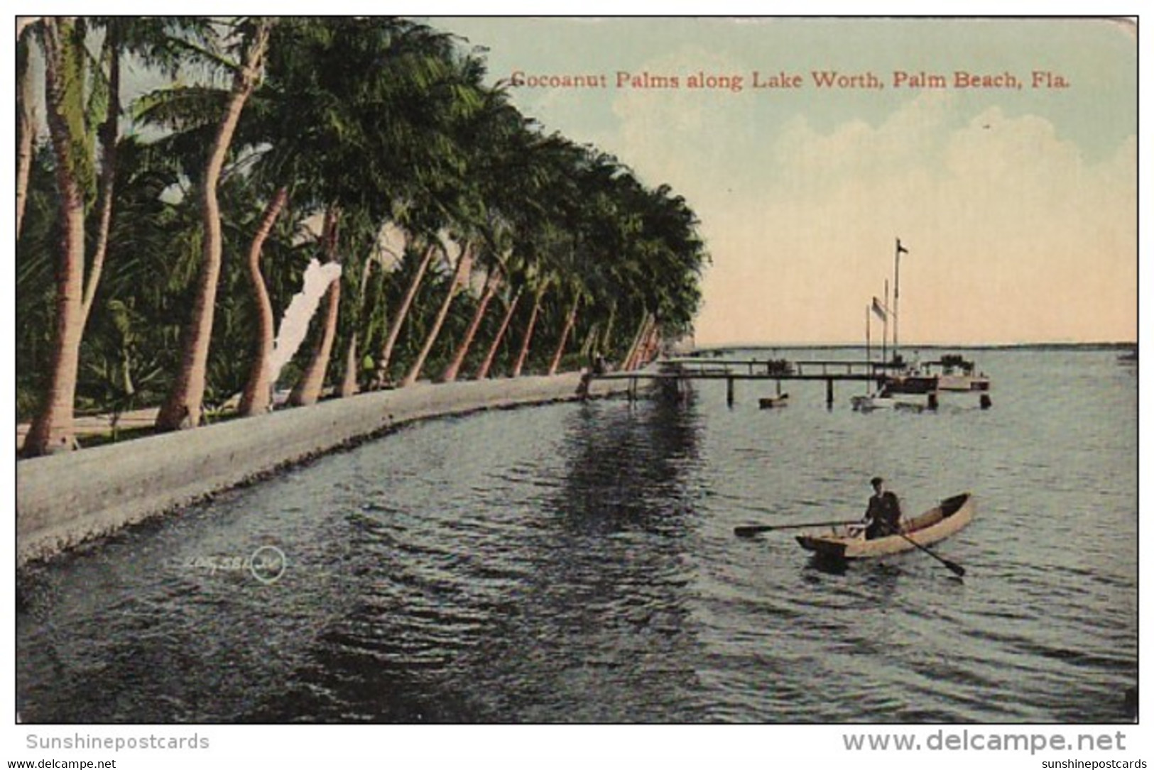 Florida Palm Beach Cocoanut Palms Along Lake Worth - Palm Beach