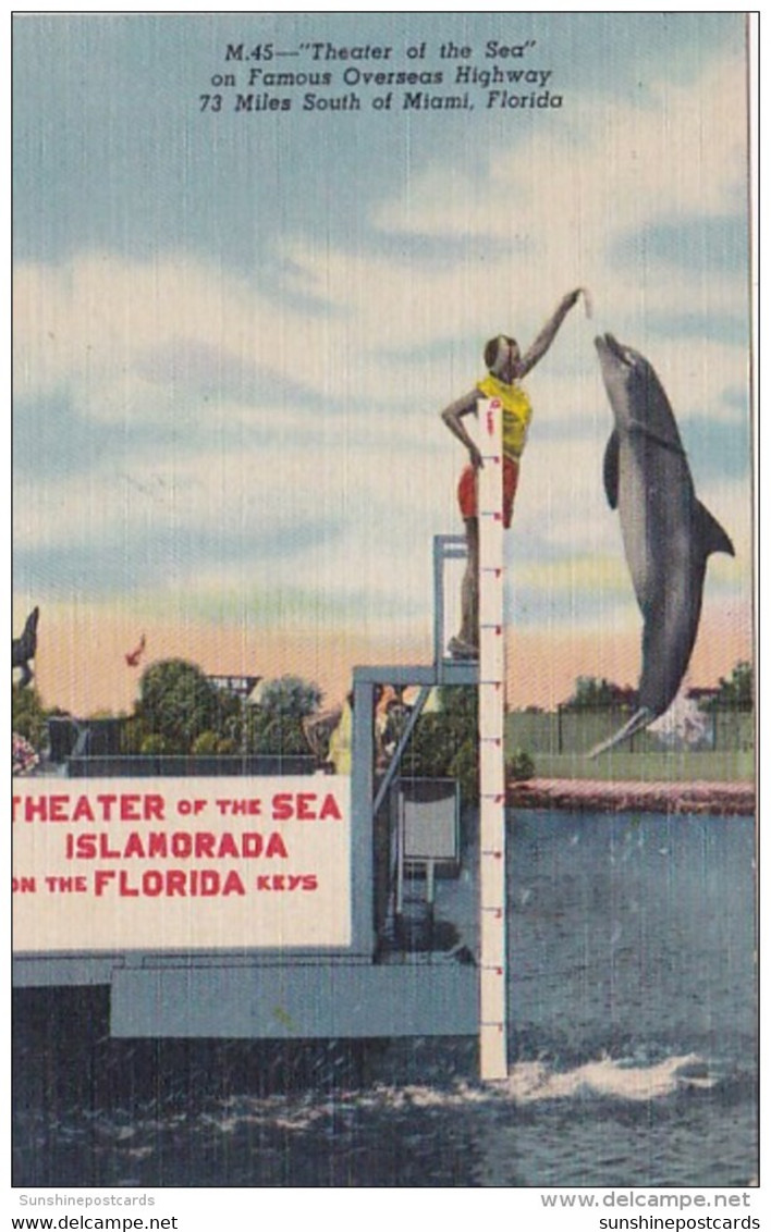 Florida Keys Jumping Porpoise At Theatre Of The Sea Islamorada 1953 Curteich - Key West & The Keys