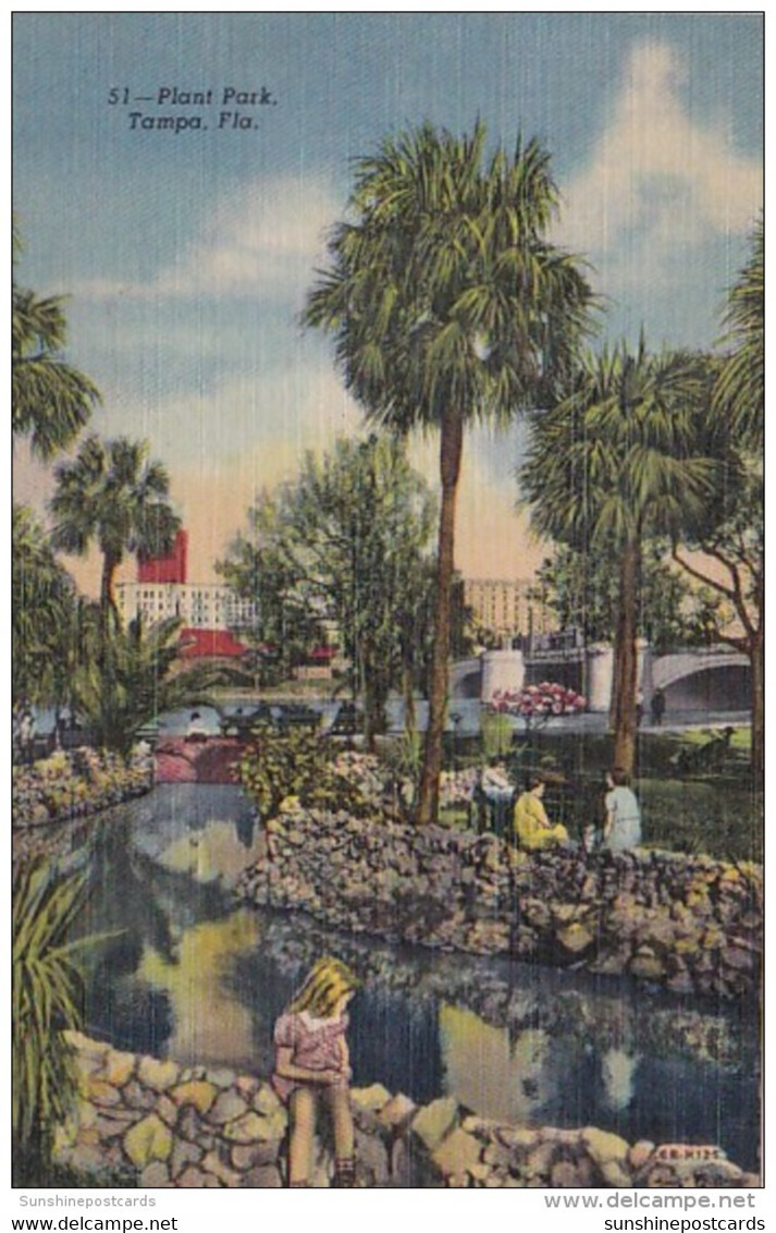 Florida Tampa Scene In Plant Park Curteich - Tampa