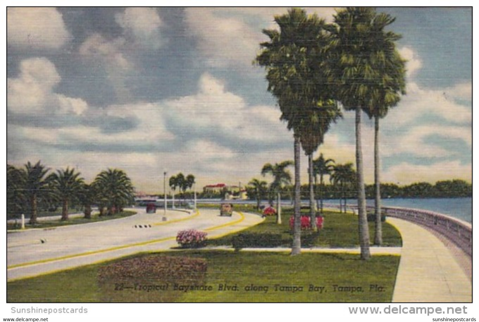 Florida Tampa Tropical Bayshore Boulevard Along Tampa Bay Curteich - Tampa