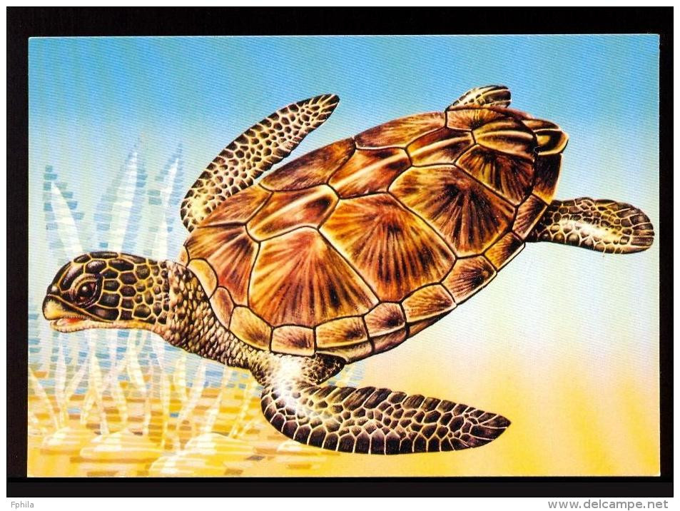 1989 TURKEY SEA TURTLES POSTCARD - Entiers Postaux