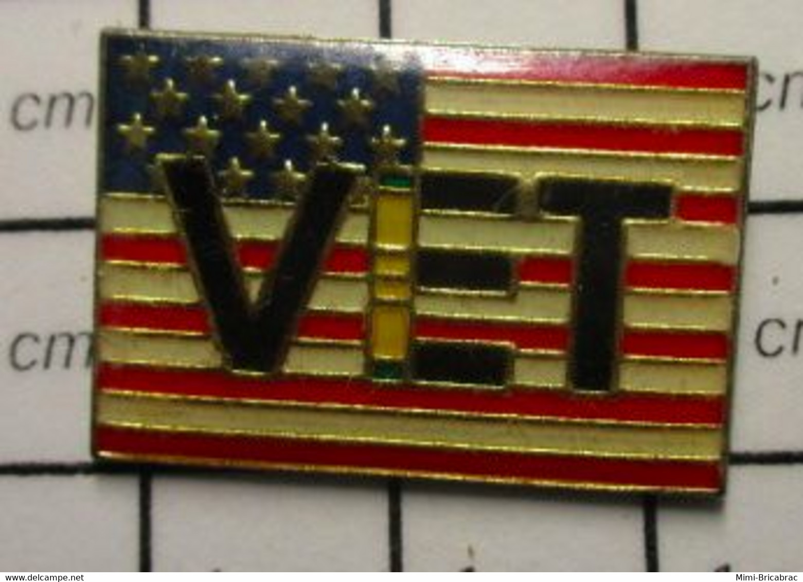 611A Pin's Pins / Beau Et Rare / THEME : MILITARIA / VIET VET USA VIETNAM - Militaria