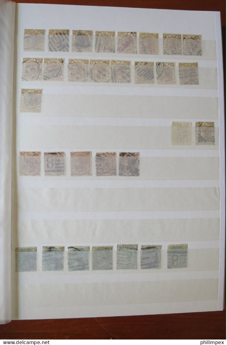 INDIA, 3 STOCK BOOKS FULL OF STAMPS