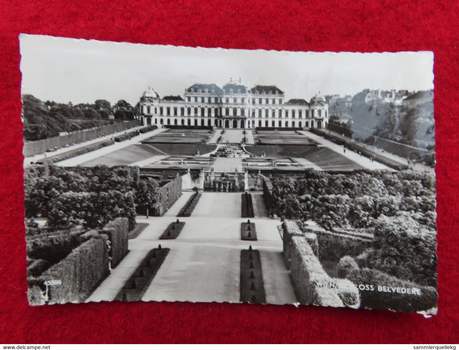 AK: Echtfoto - Schloss Belvedere, Gelaufen 25. 6. 1959 (Nr.844) - Belvedere