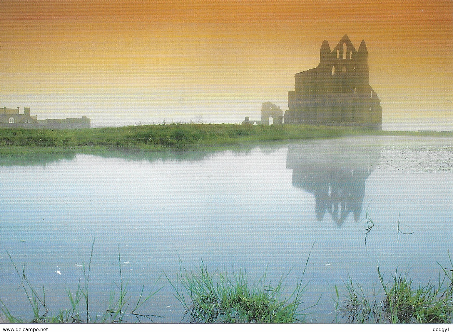 WHITBY ABBEY, NORTH YORKSHIRE, ENGLAND. UNUSED POSTCARD   Ts4 - Whitby