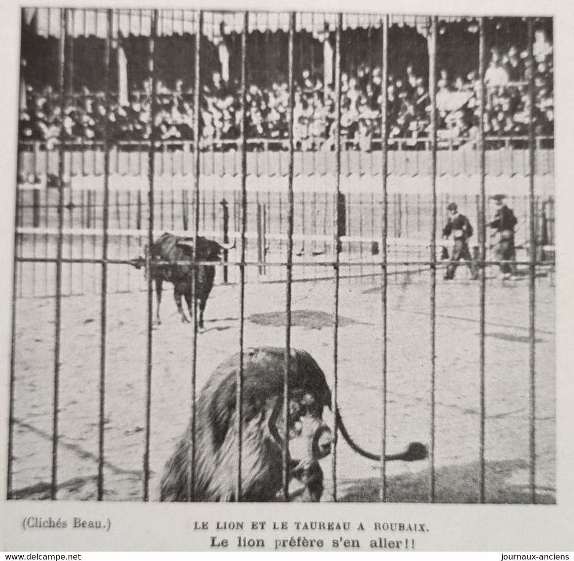 1899 ROUBAIX - ARÈNES - LE LION ET LE TAUREAUX  - LA VIE AU GRAND AIR - Magazines - Before 1900