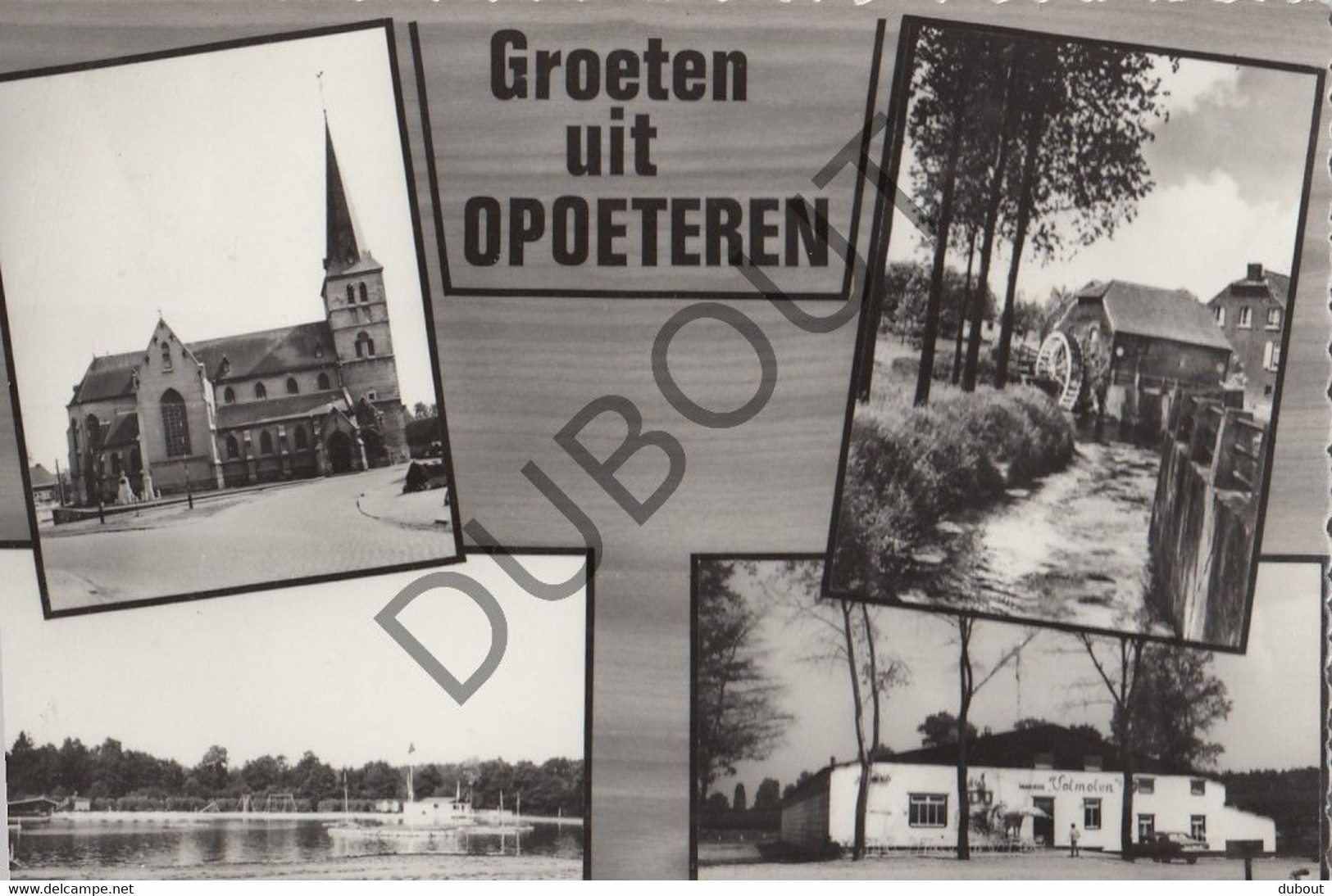 Postkaart/Carte Postale - OPOETEREN - Groeten Uit   (C2212) - Maaseik