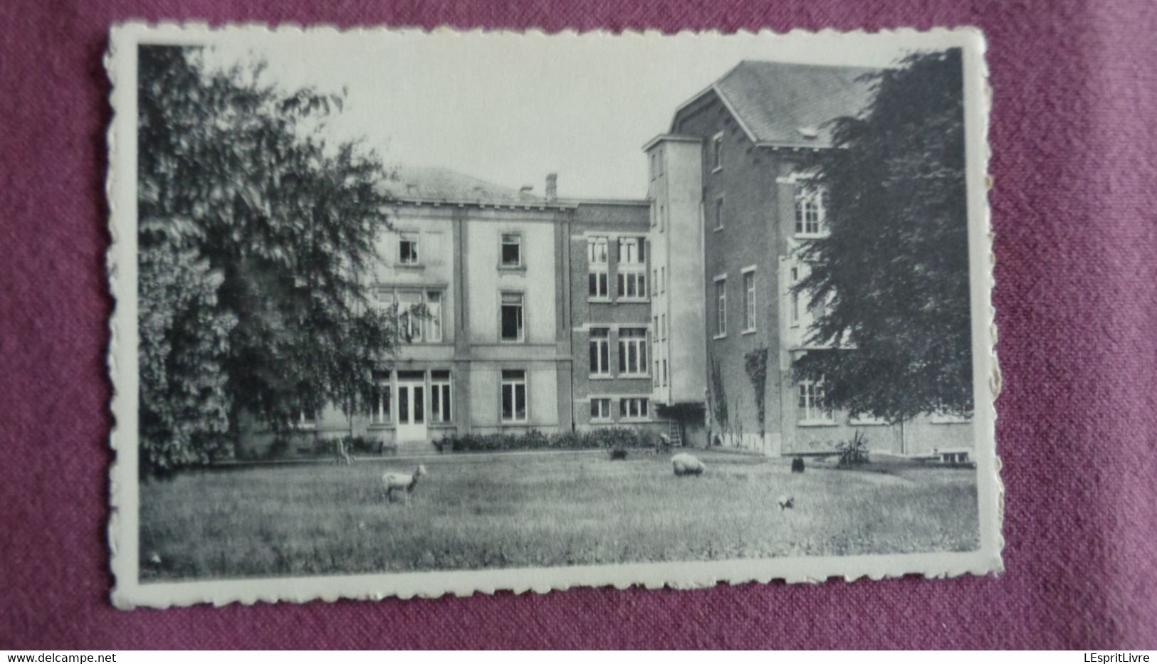 FLEURUS Institut Episcopal St Victor Hainaut België Belgique Carte Postale Postcard - Fleurus