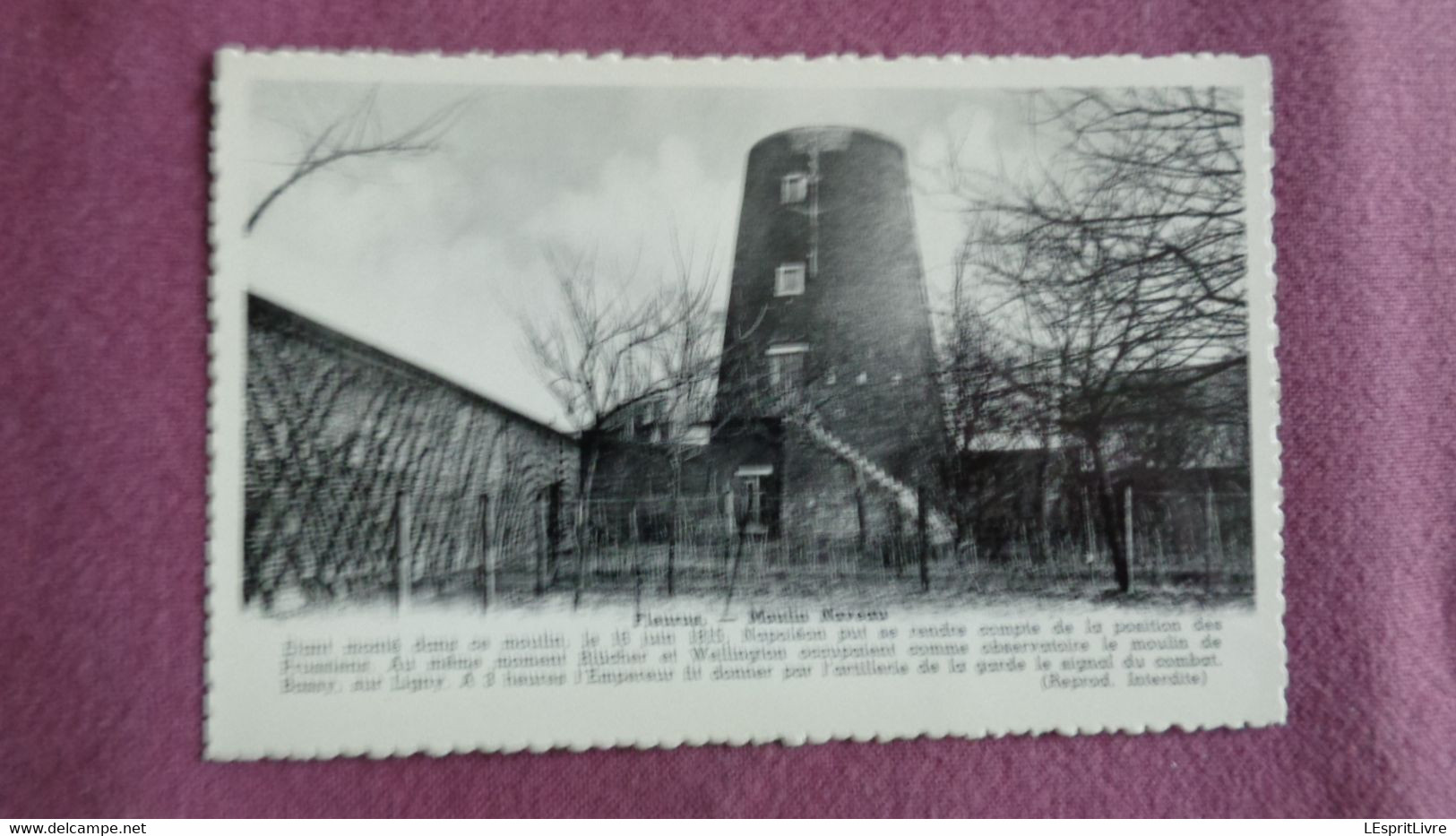 FLEURUS Moulin Naveau Hainaut België Belgique Carte Postale Postcard - Fleurus