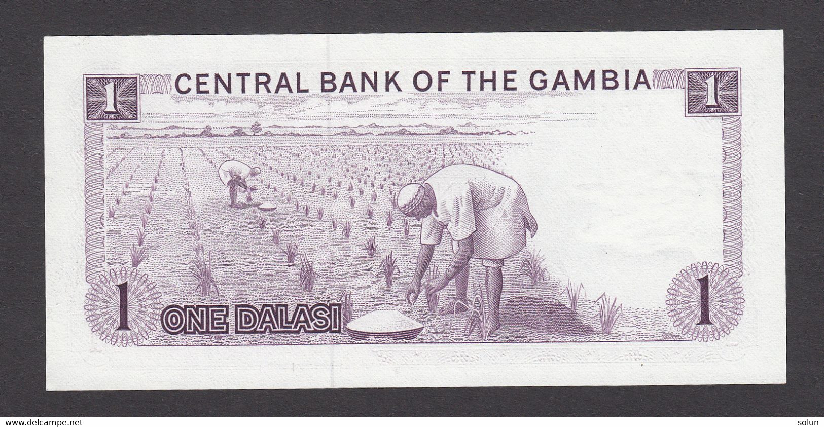 1 ONE DALASI  CENTRAL BANK OF THE GAMBIA  BANKNOTE - Gambie