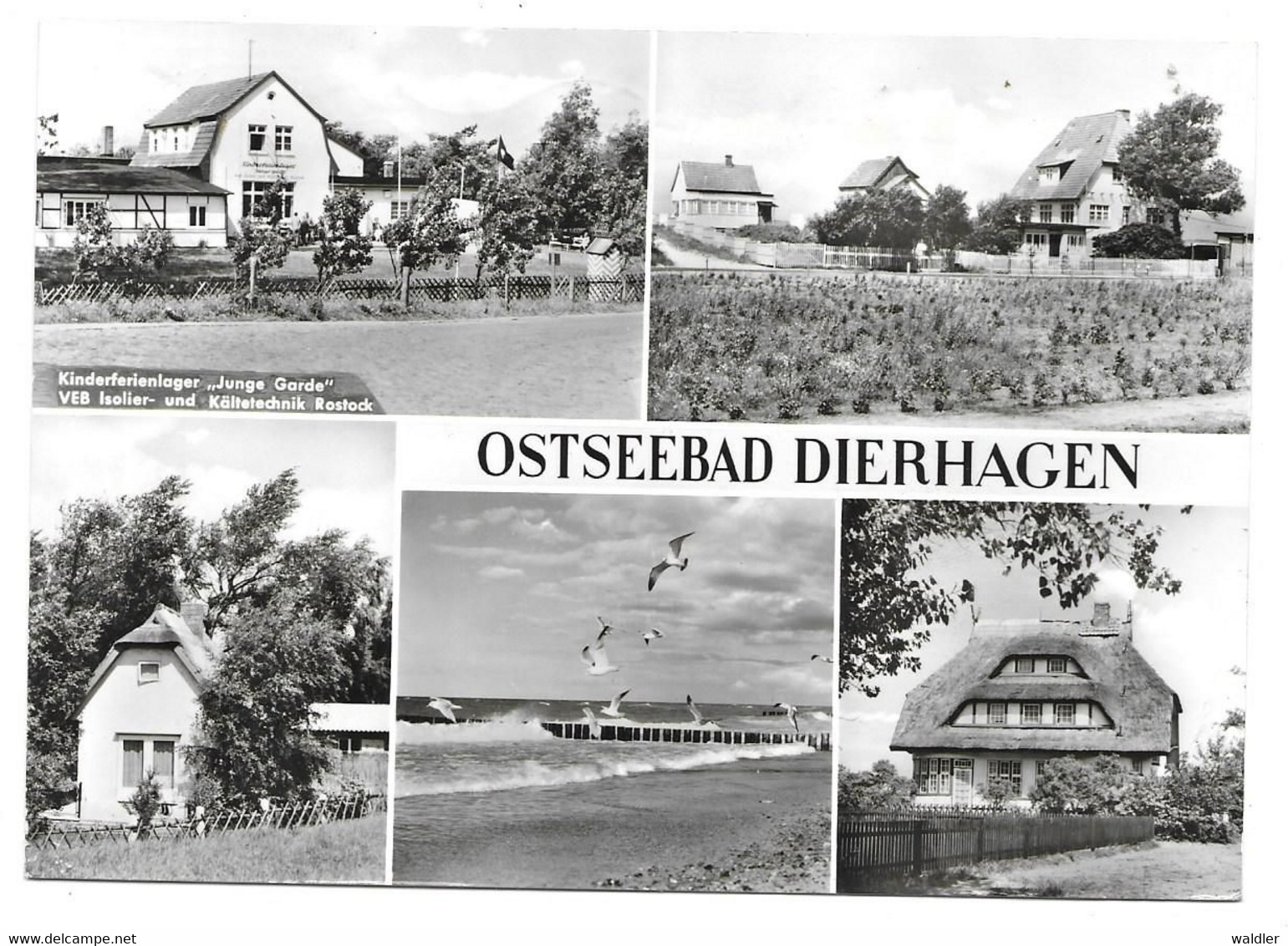 2591  OSTSEEBAD DIERHAGEN - MEHRBILD  1979 - Ribnitz-Damgarten