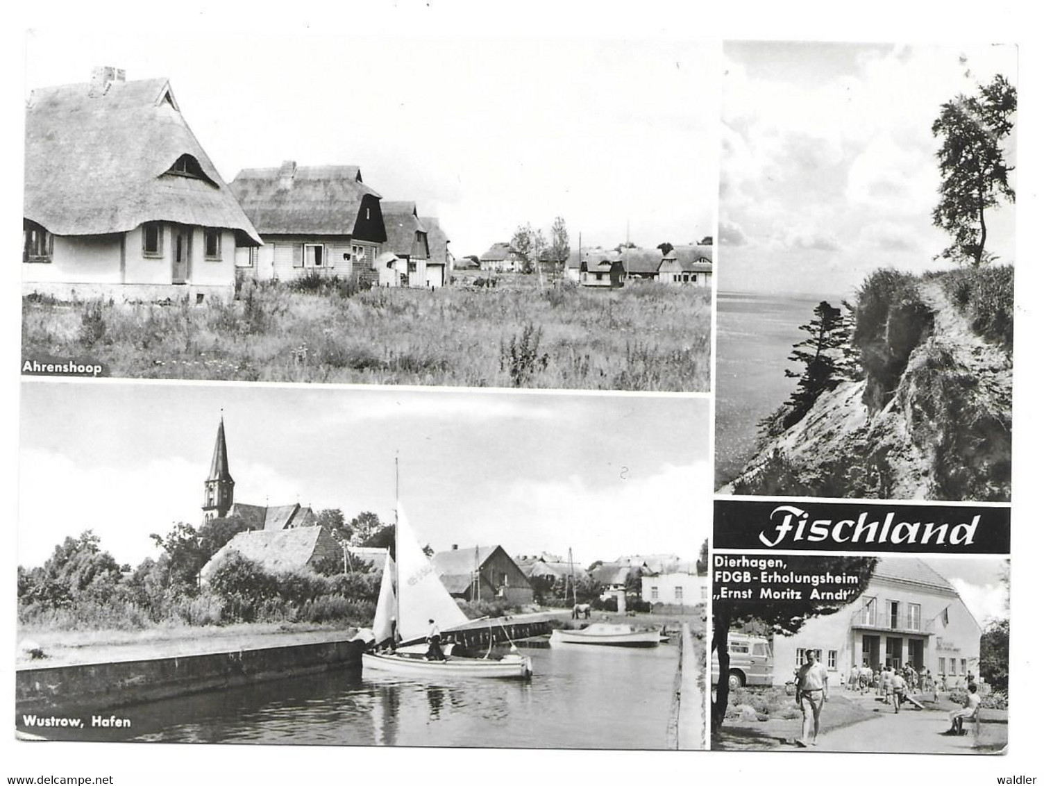 2591  FISCHLAND - OSTSEEBAD DIERHAGEN 1966 - Ribnitz-Damgarten