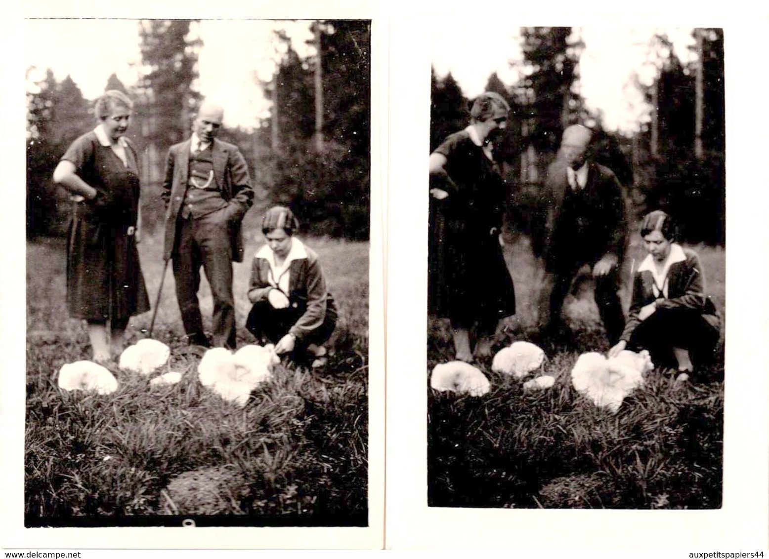 2 Mystérieuses Photos Orig. Famille Au Pied De Chose Non Identifiée - Gros Champignons Blancs Ou Pas, Flou De Mr 1930' - Voorwerpen