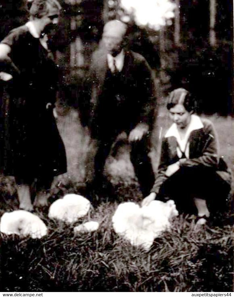 2 Mystérieuses Photos Orig. Famille Au Pied De Chose Non Identifiée - Gros Champignons Blancs Ou Pas, Flou De Mr 1930' - Voorwerpen