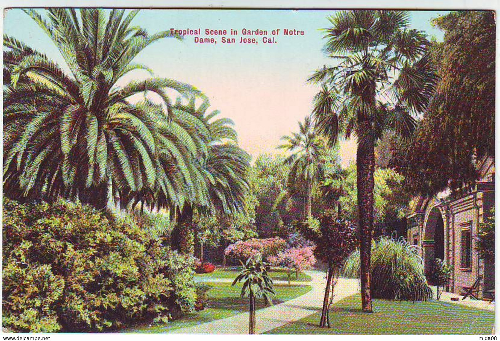 SAN JOSE . TROPICAL SCENE IN GARDEN OF NOTRE DAME . SAN JOSE . CALIFORNIA - San Jose