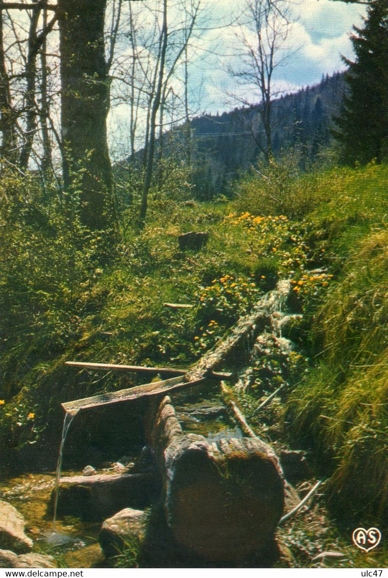 - FRANCHE COMTE. - Abreuvoir Creusé Dans Le Bois  - Scan Verso - - Franche-Comté