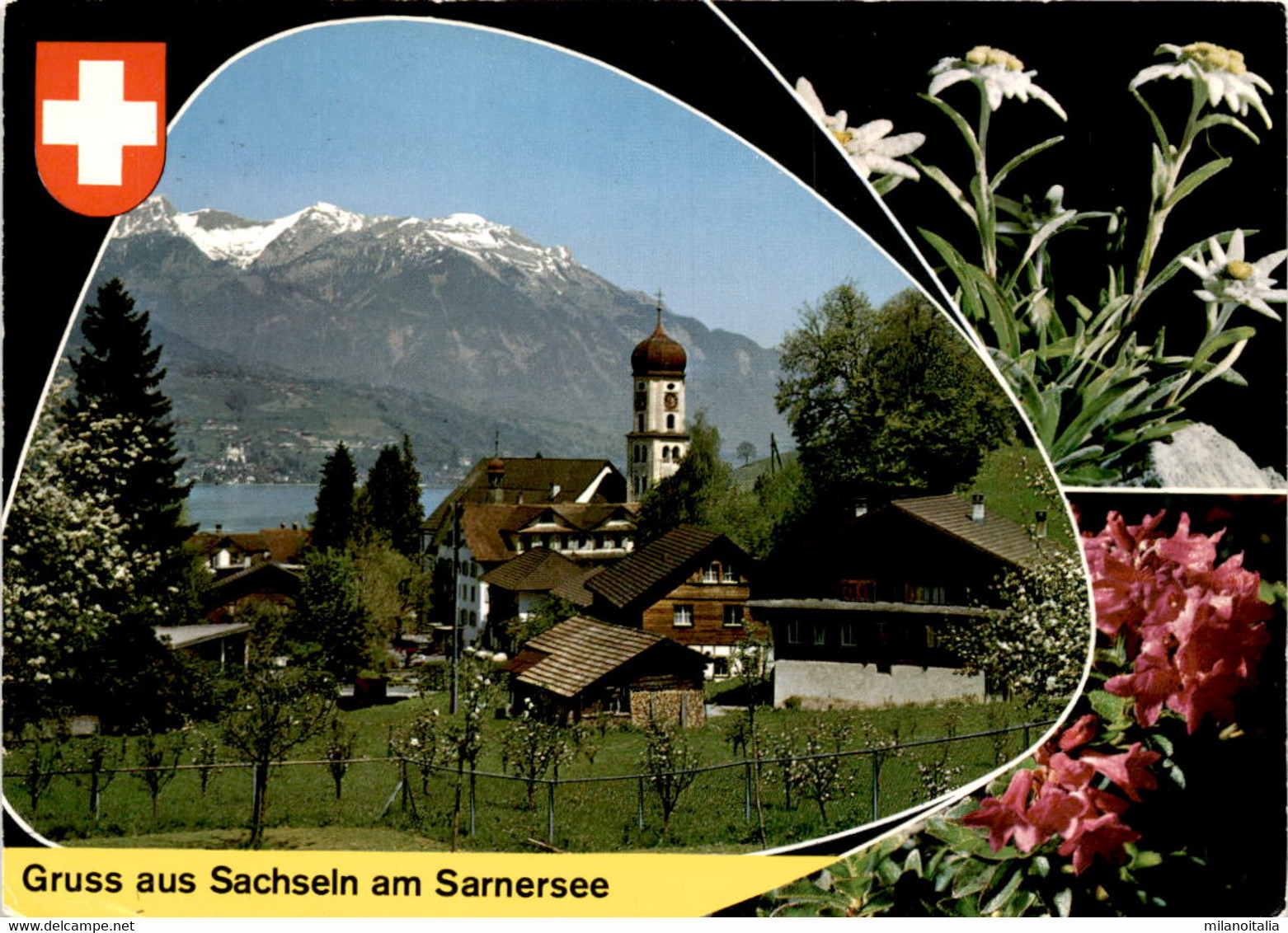 Gruss Aus Sachseln Am Sarnersee - 3 Bilder (334) * 21. 9. 1970 - Sachseln