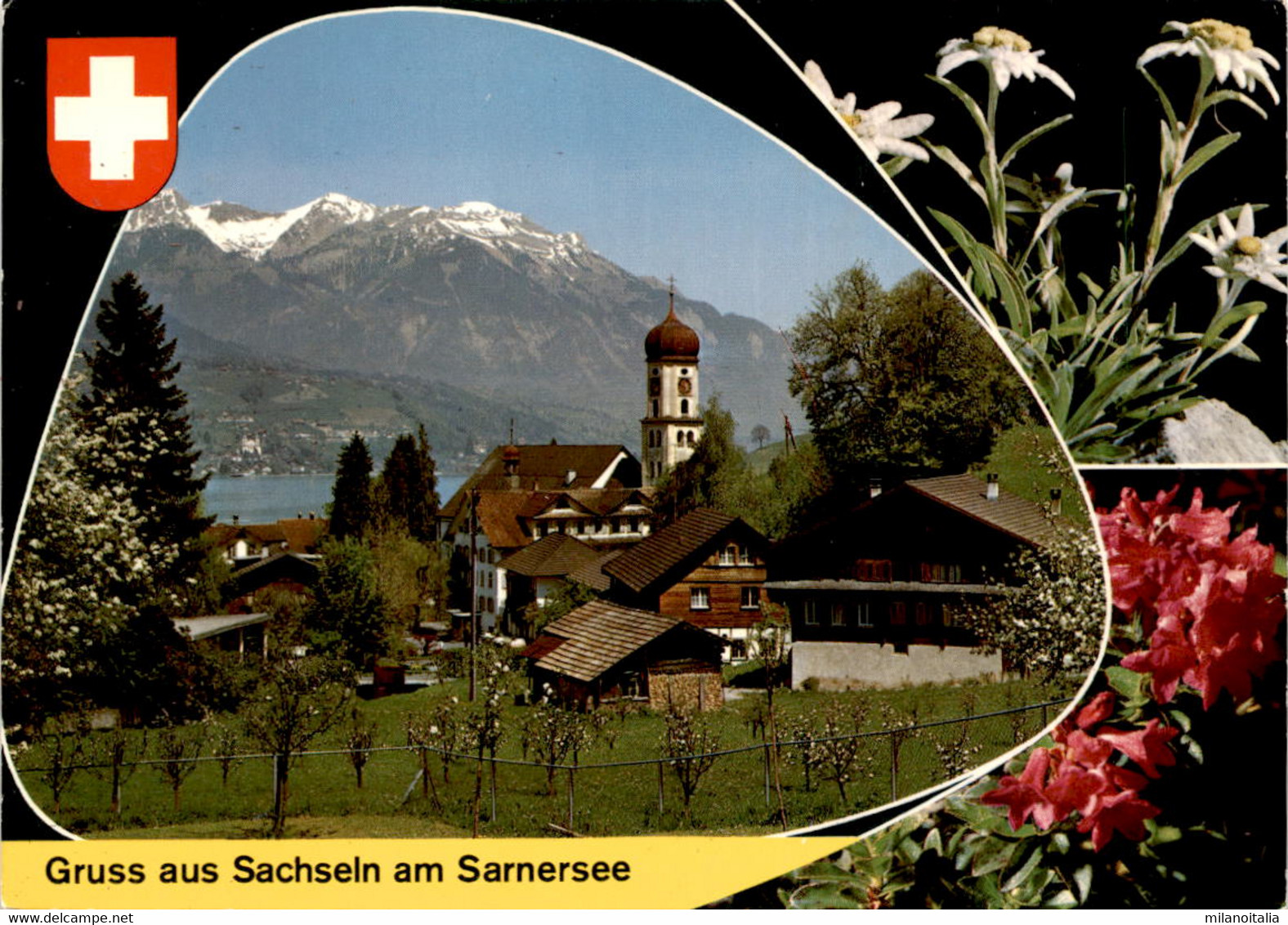 Gruss Aus Sachseln Am Sarnersee - 3 Bilder (334) * 14. 7. 1973 - Sachseln