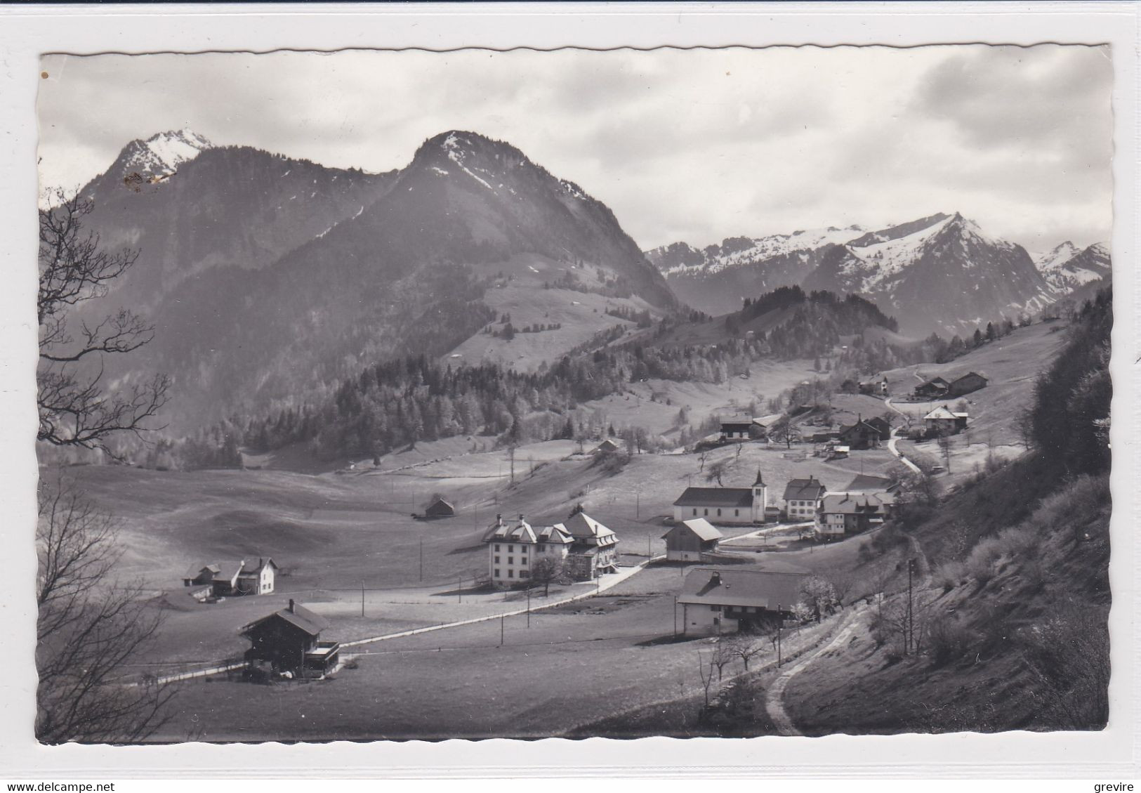 Les Sciernes D'Albeuve Vers Les Rochers De Naye. Carte-photo - Albeuve