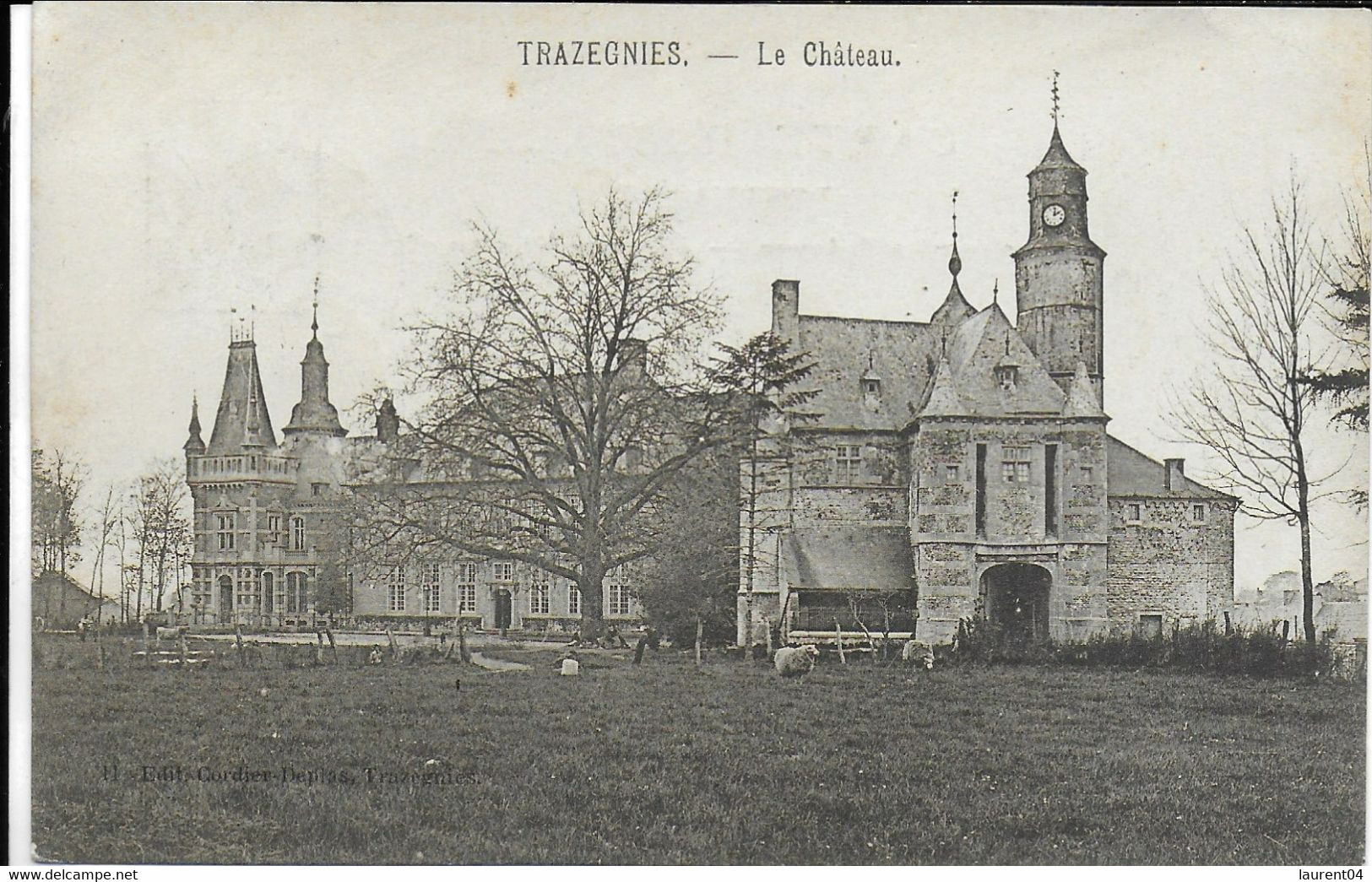 COURCELLES. TRAZEGNIES.  LE CHATEAU. - Courcelles