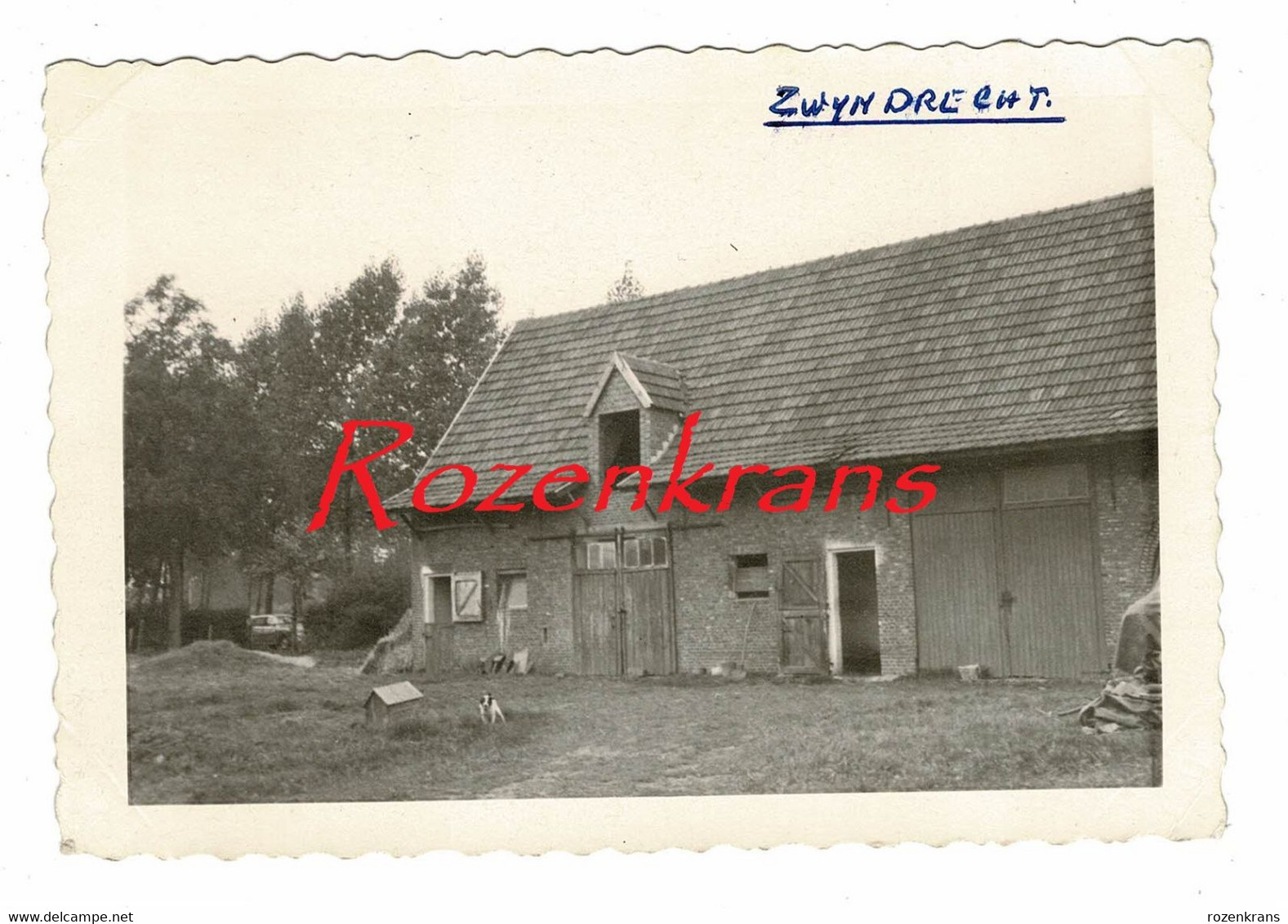 Unieke Oude Foto Zwijndrecht Schuur Hoeve  ZELDZAAM - Zwijndrecht