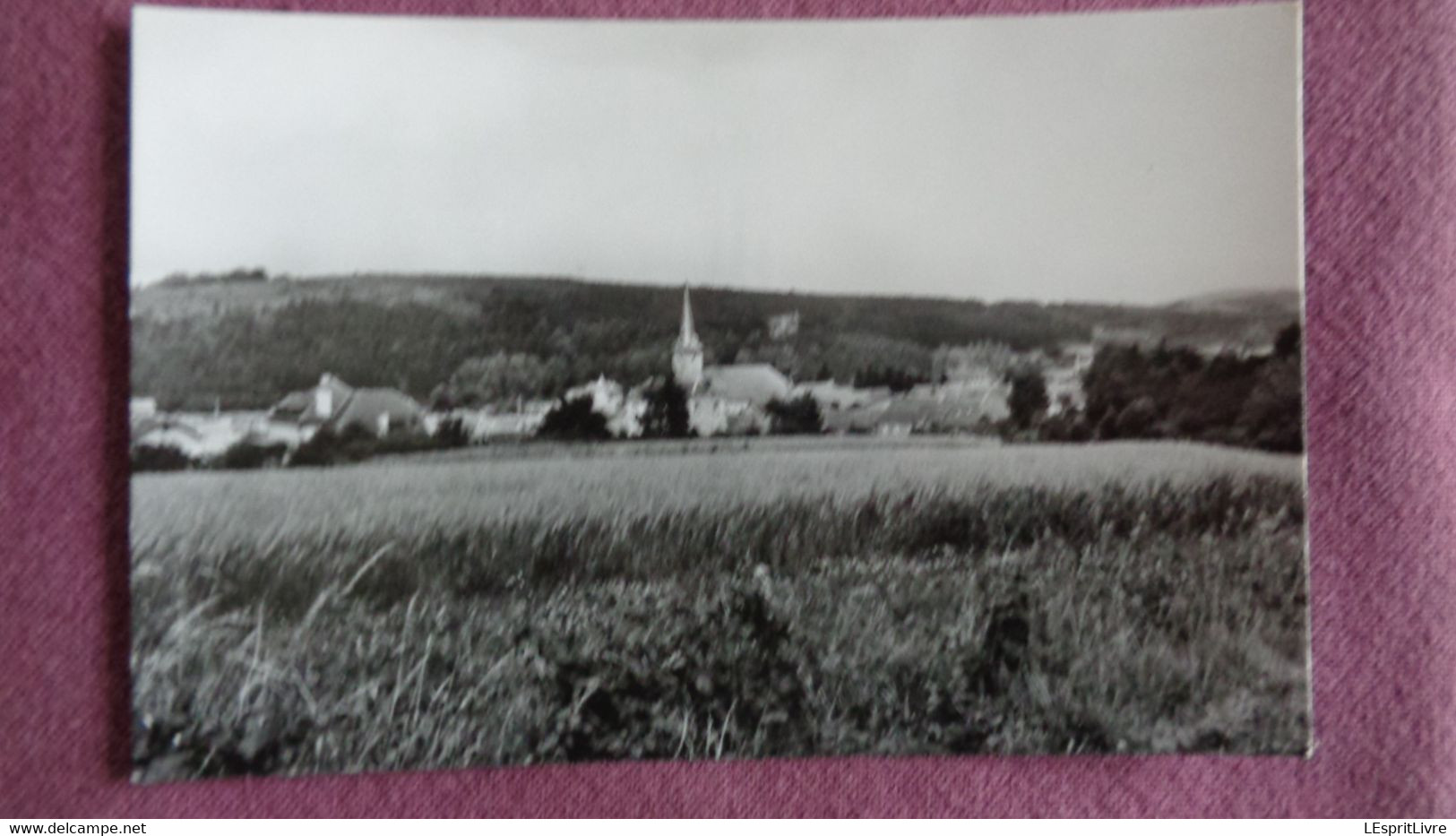 RESTEIGNE Panorama Du Village Pris De Frenet Province De Luxembourg Tellin België Belgique Carte Postale Postcard - Tellin