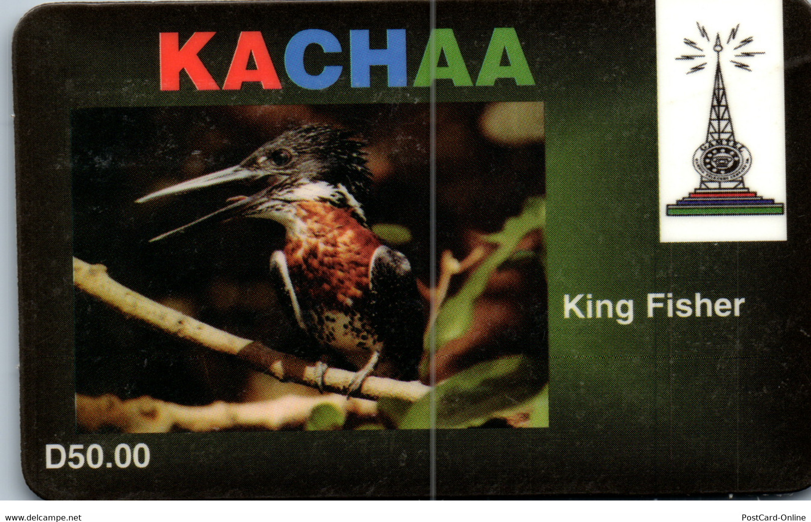 31388 - Gambia - Kachaa , Kind Fisher , Vogel , Bird - Gambie