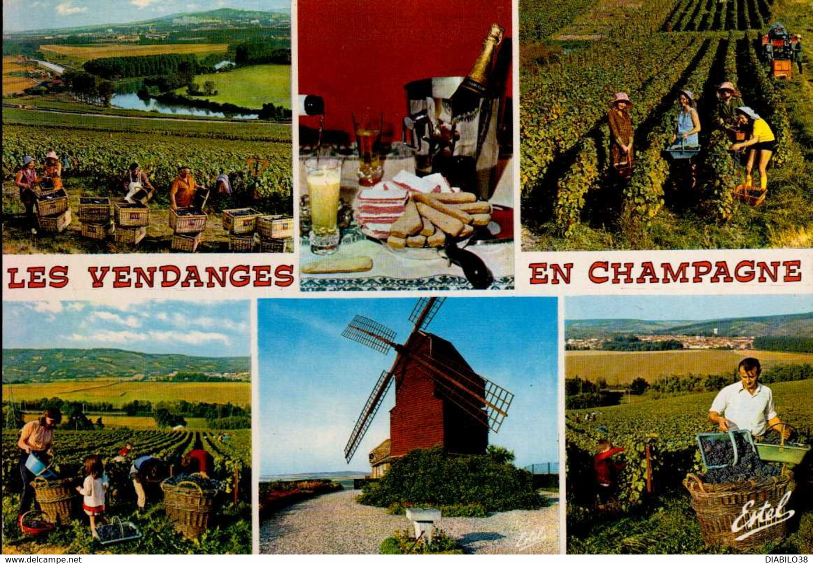 LES VENDANGES EN CHAMPAGNE  . . . MULTI-VUES - Champagne - Ardenne