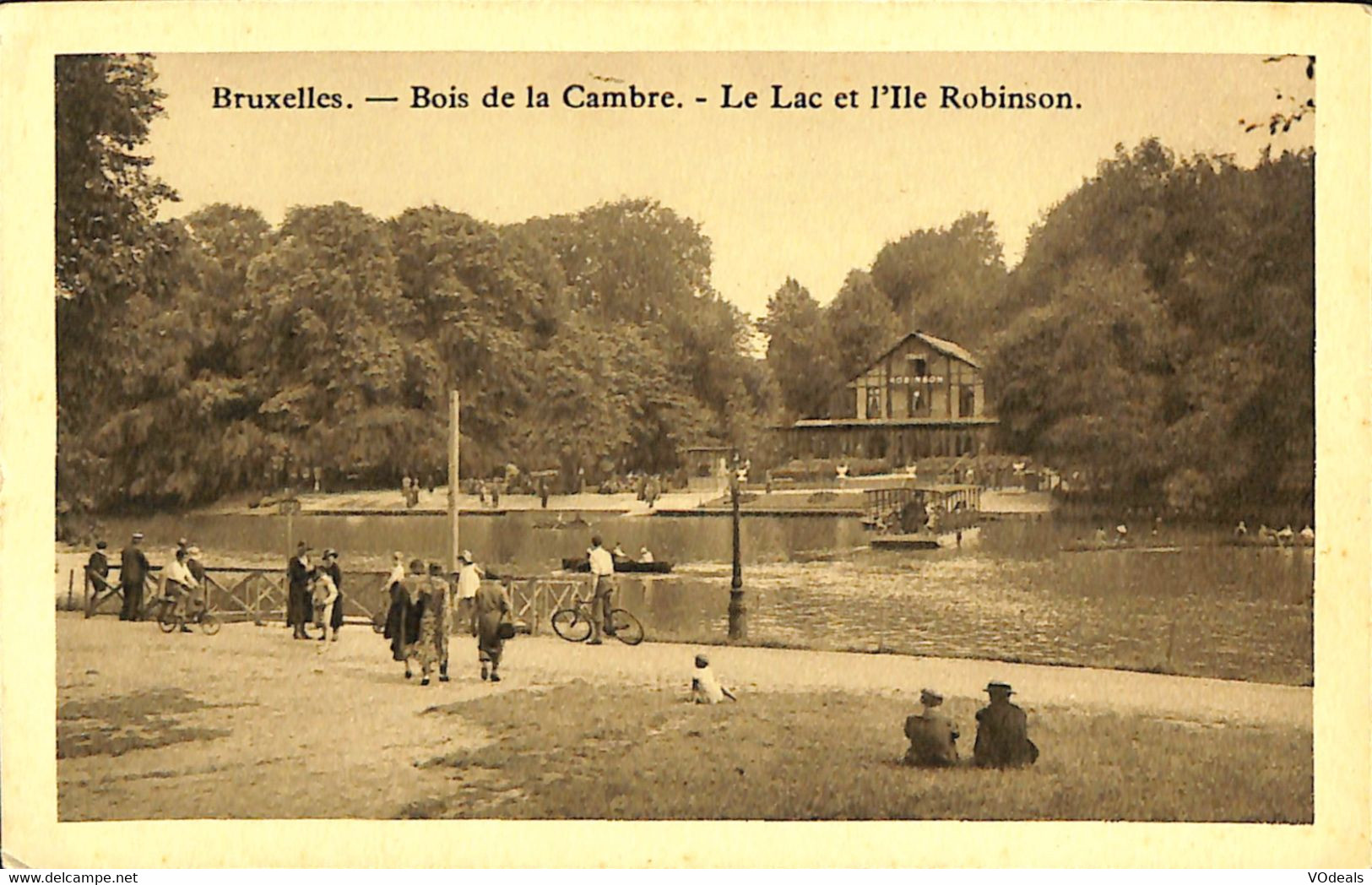 038 424 - CPA - Belgique - Bruxelles - Bois De La Cambre - Le Lac Et L'Ile Robinson - Forêts, Parcs, Jardins
