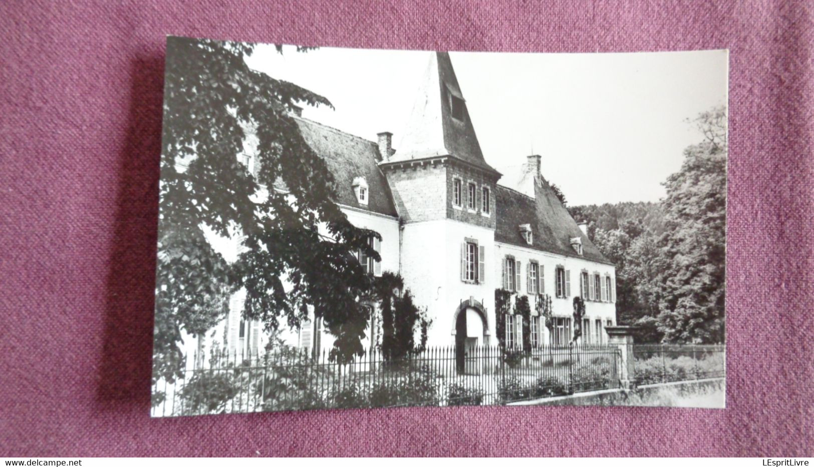 RESTEIGNE Ancienne Demeure Du Baron D'Hoffschmidt Province De Luxembourg Tellin België Belgique Carte Postale Postcard - Tellin