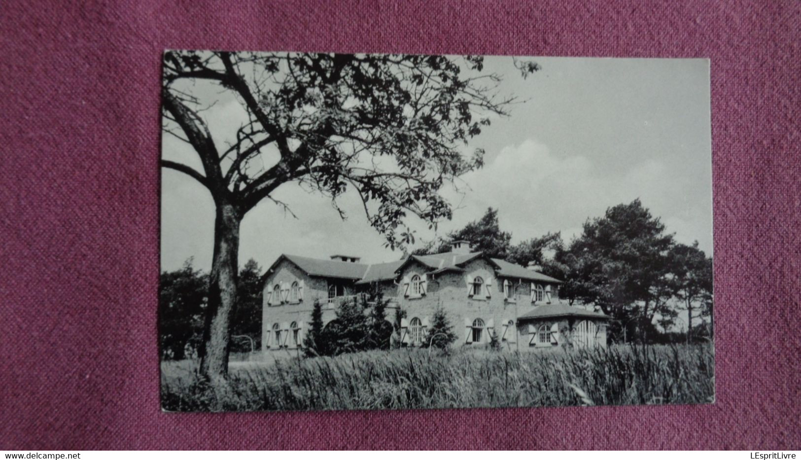 RESTEIGNE Clair Logis Lesse Province De Luxembourg Tellin België Belgique Carte Postale Postcard - Tellin