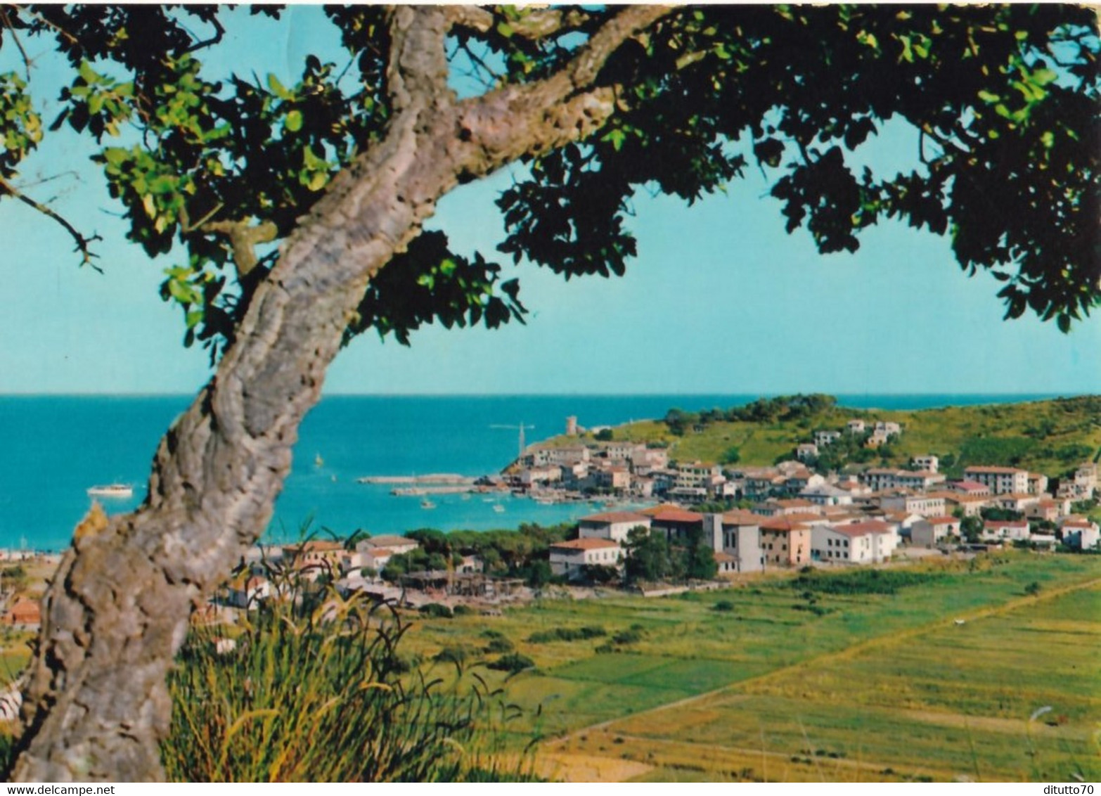 Marina Di Campo - Panorama - Idola D'elba - Formato Grande Viaggiata – FE390 - Livorno